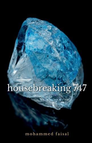 Cover image for housebreaking 747