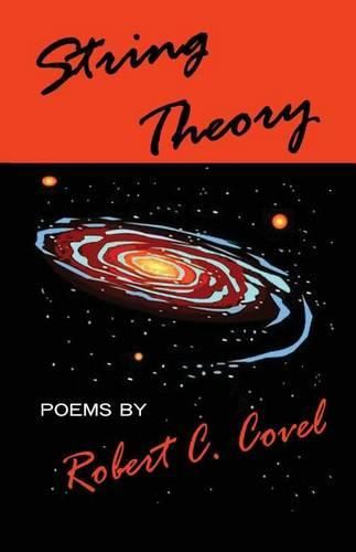 Cover image for String Theory