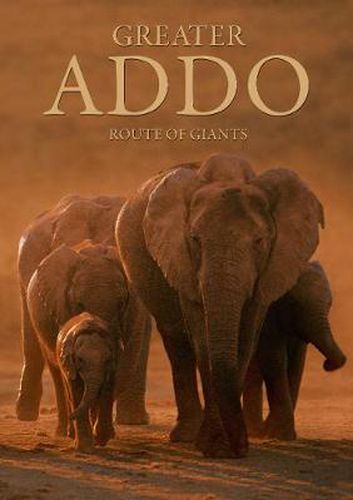 Cover image for Greater Addo: Route of Giants