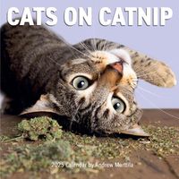 Cover image for Cats on Catnip Wall Calendar 2025