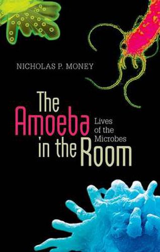 Cover image for The Amoeba in the Room: Lives of the Microbes