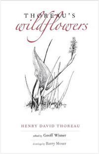 Cover image for Thoreau's Wildflowers