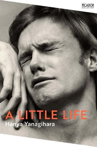 Cover image for A Little Life