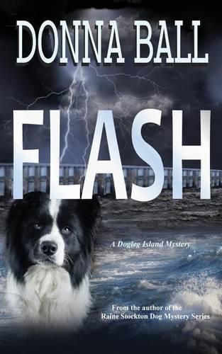 Cover image for Flash