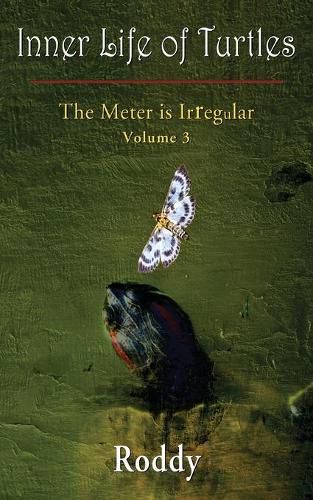 Cover image for The Meter is Irregular, Volume 3 - Inner Life of Turtles