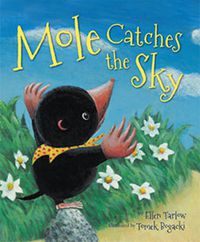 Cover image for Mole Catches the Sky