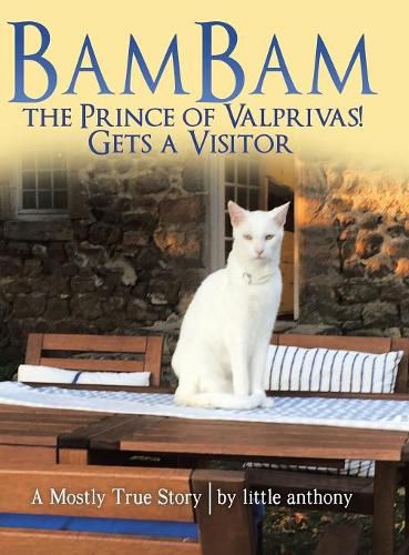 Cover image for Bambam the Prince of Valprivas! Gets a Visitor: A Mostly True Story