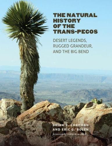 Cover image for The Natural History of the Trans-Pecos: Desert Legends, Rugged Grandeur, and the Big Bend