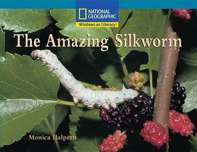 Windows on Literacy Fluent Plus (Science: Life Science): The Amazing Silkworm