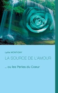 Cover image for La source de l'amour: ... ou les perles du Coeur