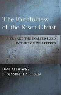 Cover image for The Faithfulness of the Risen Christ: Pistis   and the Exalted Lord in the Pauline Letters