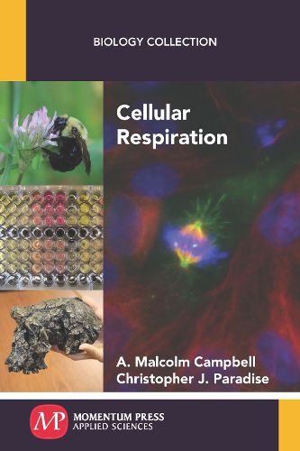 Cover image for Cellular Respiration