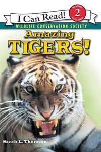 Cover image for Amazing Tigers