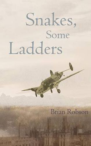 Cover image for Snakes, Some Ladders