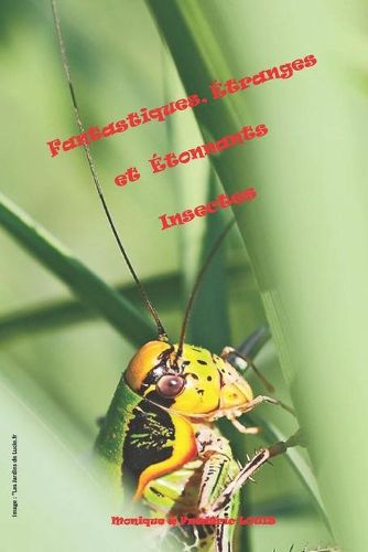 Cover image for Fantastiques, Etranges et Etonnants Insectes