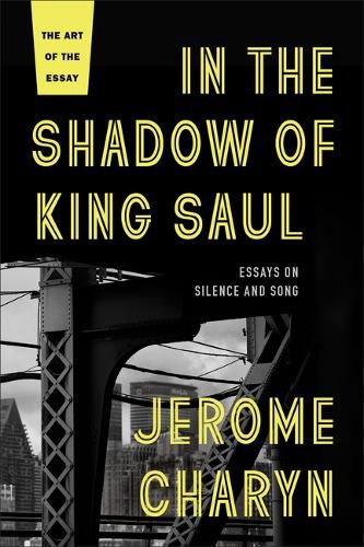 Cover image for In the Shadow of King Saul: Essays on Silence and Song