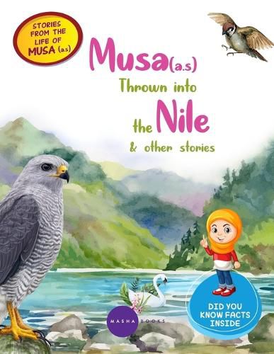 Cover image for Stories From The Life Of Musa