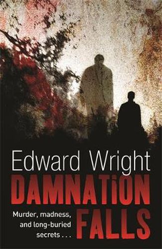 Cover image for Damnation Falls