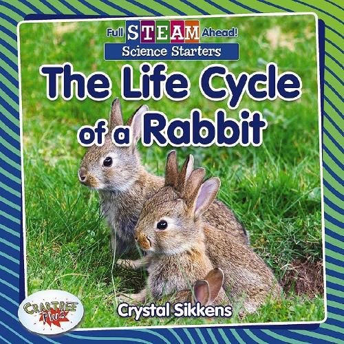 Cover image for Full STEAM Ahead!: The Life Cycle of a Rabbit