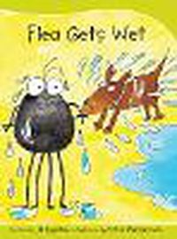 Cover image for Sails Take-Home Library 1 (Early Red): Flea Gets Wet