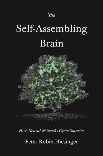 Cover image for The Self-Assembling Brain: How Neural Networks Grow Smarter