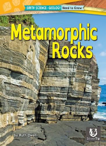 Cover image for Metamorphic Rocks