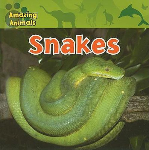 Cover image for Snakes