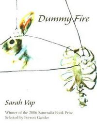 Cover image for Dummy Fire