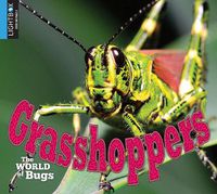 Cover image for Grasshoppers