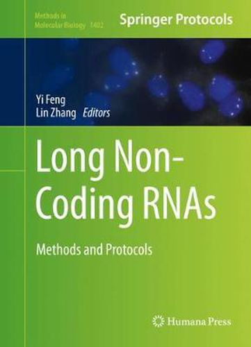 Cover image for Long Non-Coding RNAs: Methods and Protocols