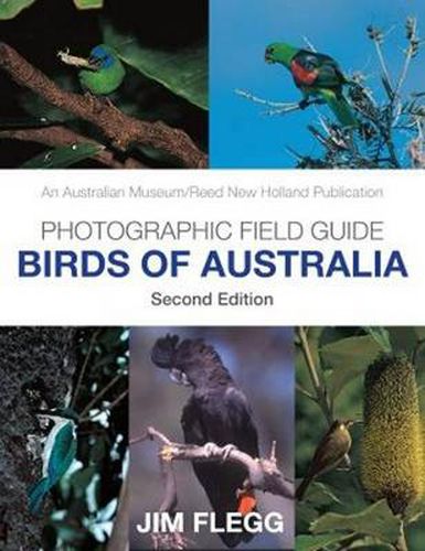 Cover image for Photographic Field Guide: Birds of Australia