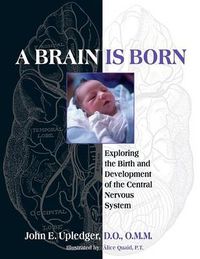 Cover image for A Brain Is Born: Exploring the Birth and Development of the Central Nervous System