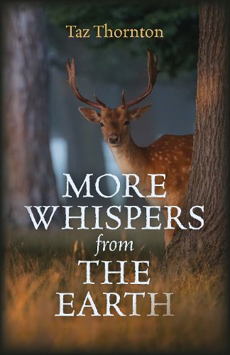 Cover image for More Whispers from the Earth
