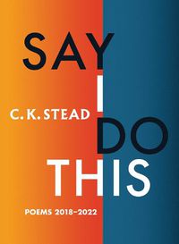 Cover image for Say I Do This