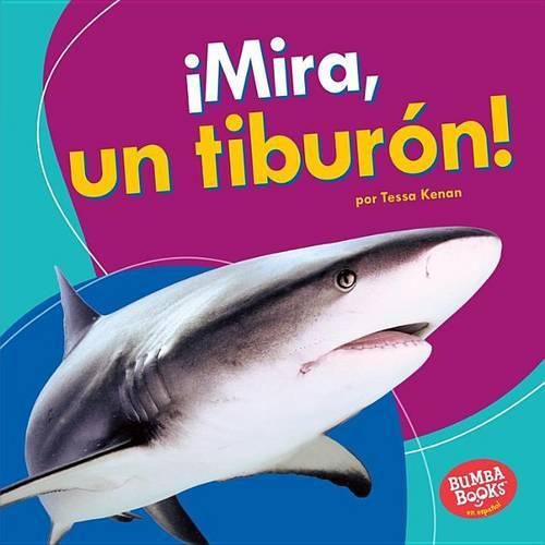 !Mira, Un Tiburon! (Look, a Shark!)