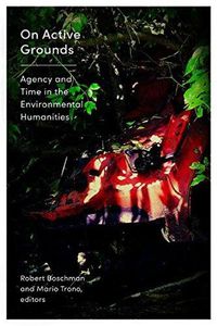 Cover image for On Active Grounds: Agency and Time in the Environmental Humanities