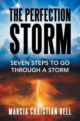 Cover image for The Perfection Storm: Seven Steps to Go Through a Storm