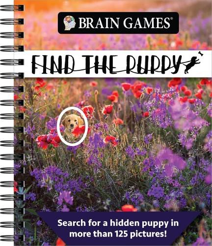 Cover image for Brain Games - Find the Puppy