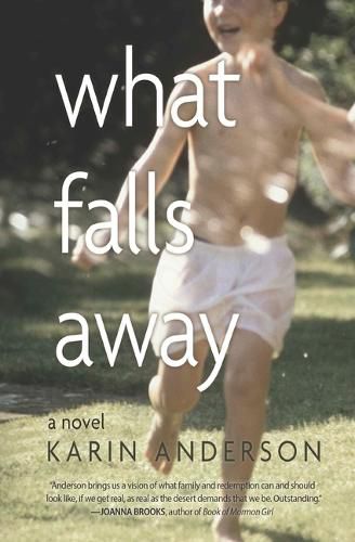 Cover image for What Falls Away