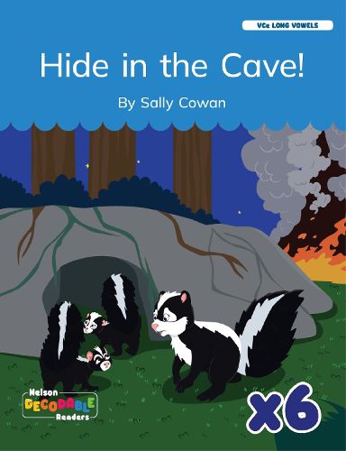 Cover image for Hide in the Cave! X 6 (VCe Long Vowels)
