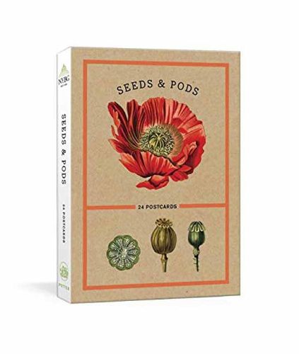 Seeds And Pods: 24 Postcards