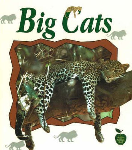 Cover image for Big Cats