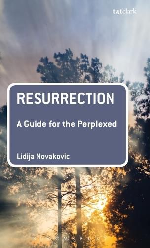 Cover image for Resurrection: A Guide for the Perplexed