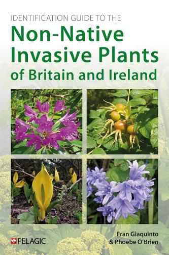 Cover image for Identification Guide to the Non-Native Invasive Plants of Britain and Ireland