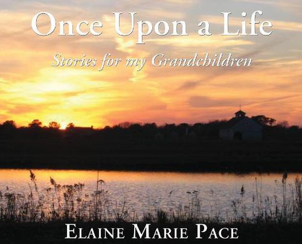 Once Upon a Life: Stories for My Grandchildren