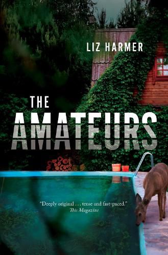 Cover image for The Amateurs