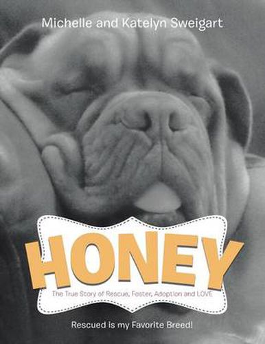 Cover image for Honey