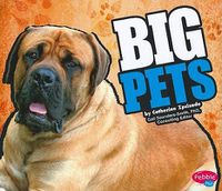 Cover image for Big Pets