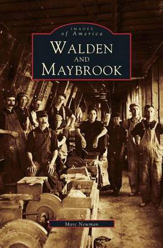 Cover image for Walden and Maybrook