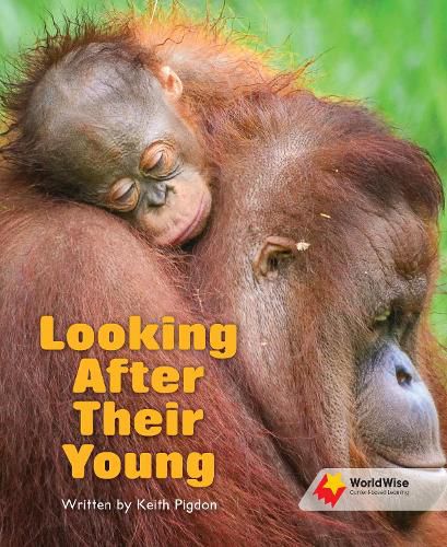 Cover image for Looking After Their Young